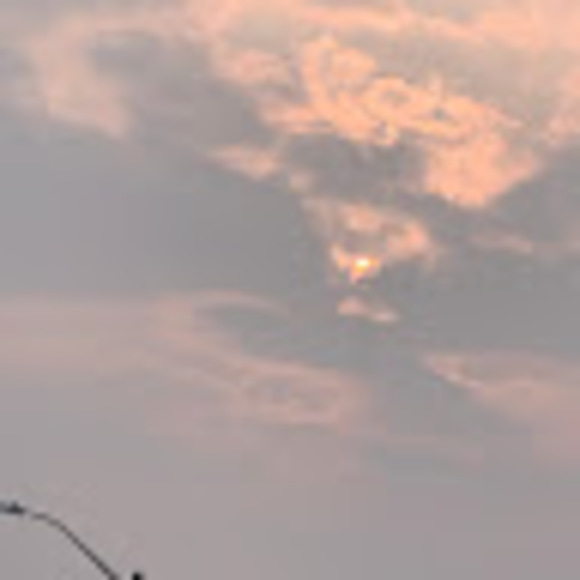 juoleeta